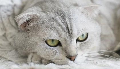 临汾英语培训哪家好点？ 临汾儿童英语哪里教得好？