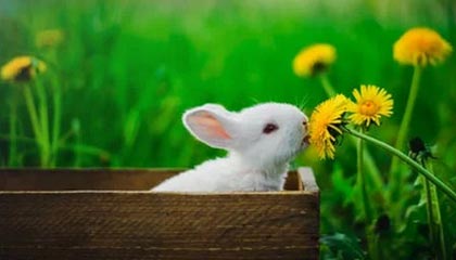 临汾英语培训哪家好点？ 临汾儿童英语哪里教得好？