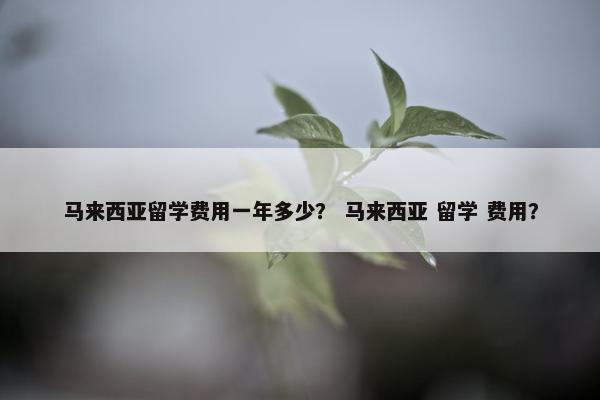 马来西亚留学费用一年多少？ 马来西亚 留学 费用？
