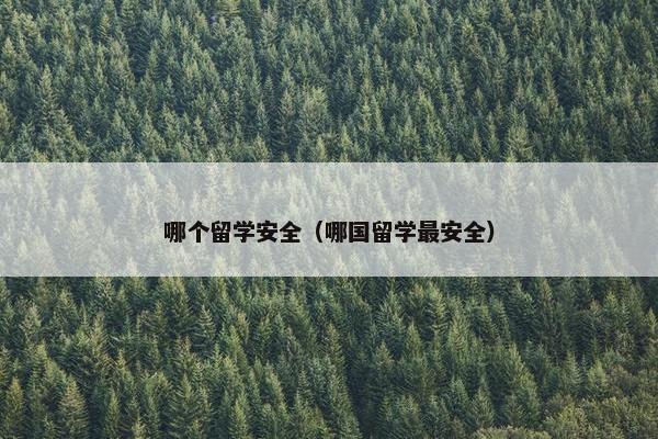 哪个留学安全（哪国留学最安全）