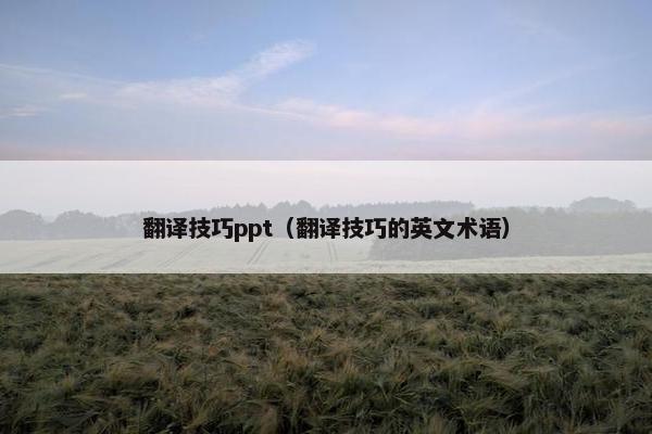 翻译技巧ppt（翻译技巧的英文术语）