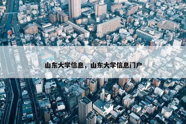 山东大学信息，山东大学信息门户