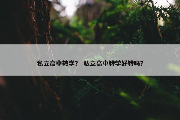私立高中转学？ 私立高中转学好转吗？