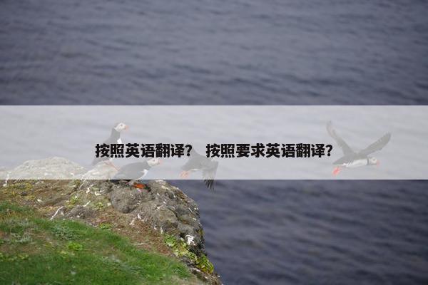 按照英语翻译？ 按照要求英语翻译？