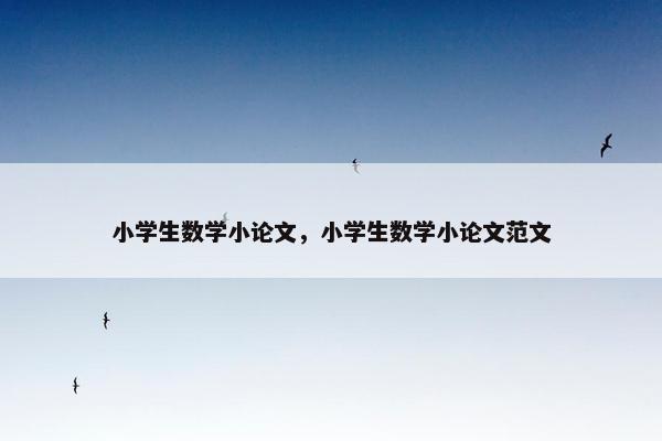 小学生数学小论文，小学生数学小论文范文