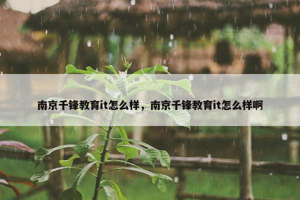 南京千锋教育it怎么样，南京千锋教育it怎么样啊