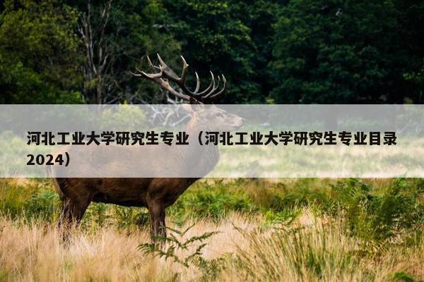 河北工业大学研究生专业（河北工业大学研究生专业目录2024）
