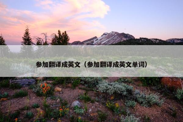 参加翻译成英文（参加翻译成英文单词）