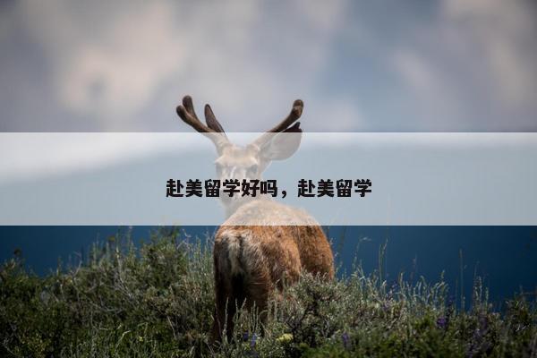 赴美留学好吗，赴美留学