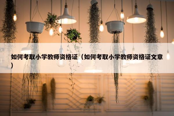 如何考取小学教师资格证（如何考取小学教师资格证文章）