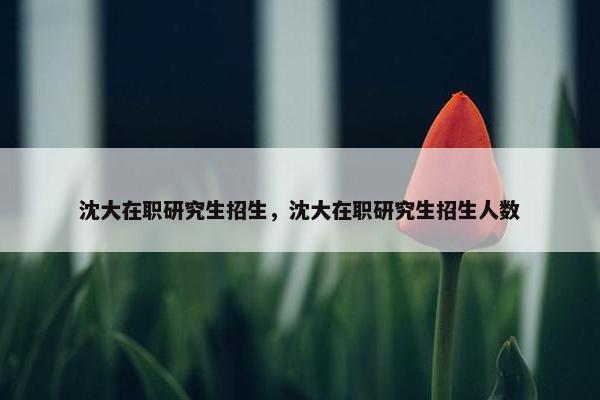 沈大在职研究生招生，沈大在职研究生招生人数