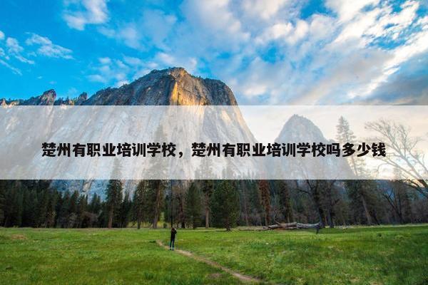 楚州有职业培训学校，楚州有职业培训学校吗多少钱