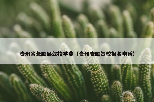 贵州省长顺县驾校学费（贵州安顺驾校报名电话）