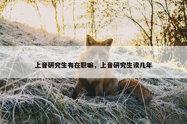 上音研究生有在职嘛，上音研究生读几年