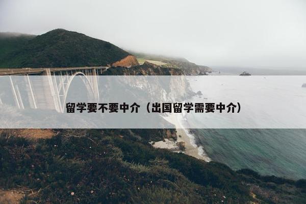 留学要不要中介（出国留学需要中介）
