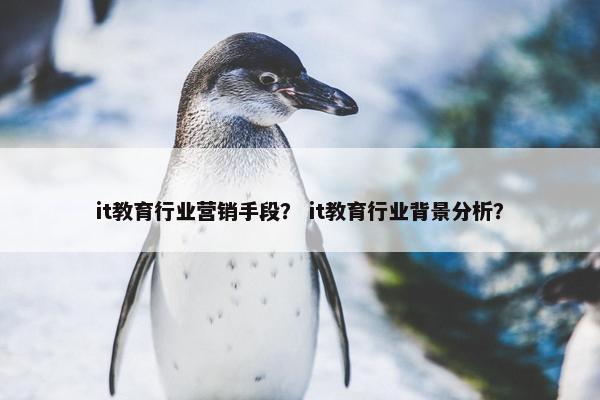 it教育行业营销手段？ it教育行业背景分析？