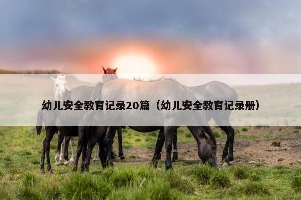 幼儿安全教育记录20篇（幼儿安全教育记录册）