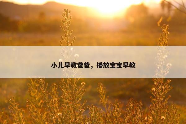 小儿早教爸爸，播放宝宝早教