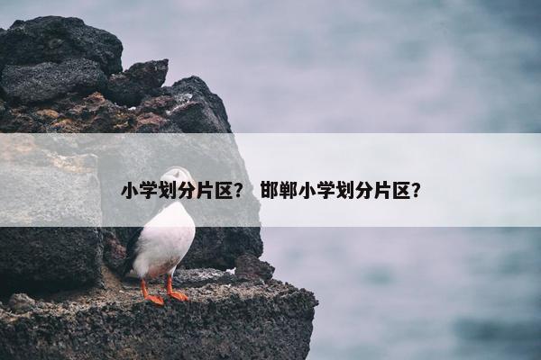 小学划分片区？ 邯郸小学划分片区？