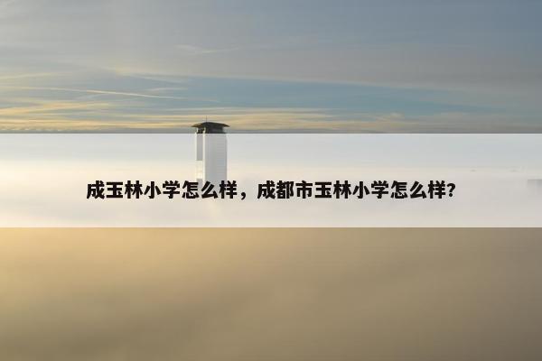 成玉林小学怎么样，成都市玉林小学怎么样?