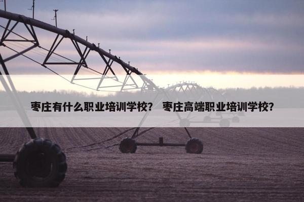 枣庄有什么职业培训学校？ 枣庄高端职业培训学校？