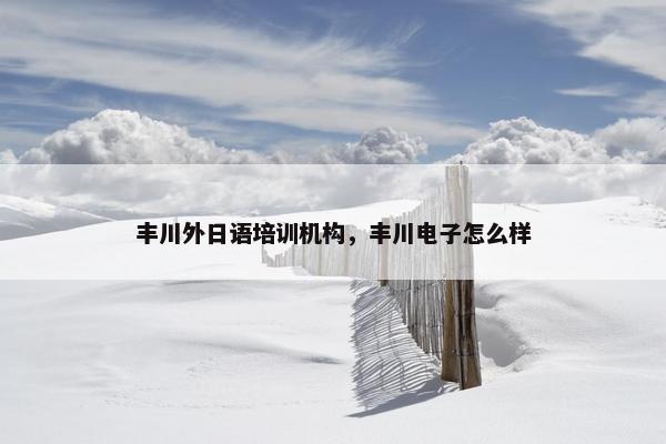 丰川外日语培训机构，丰川电子怎么样