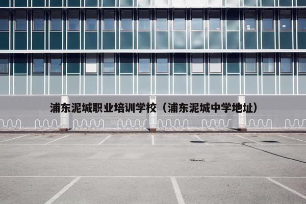 浦东泥城职业培训学校（浦东泥城中学地址）
