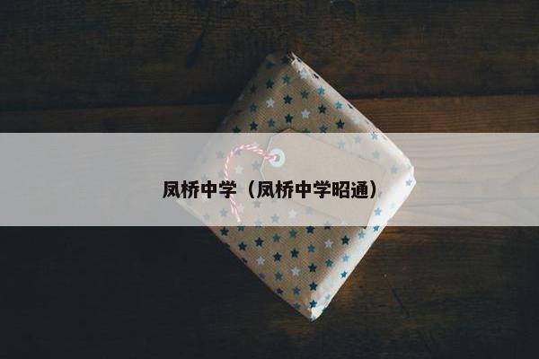 凤桥中学（凤桥中学昭通）