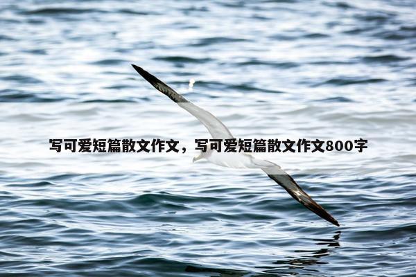 写可爱短篇散文作文，写可爱短篇散文作文800字