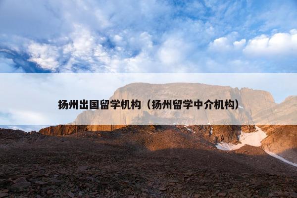 扬州出国留学机构（扬州留学中介机构）
