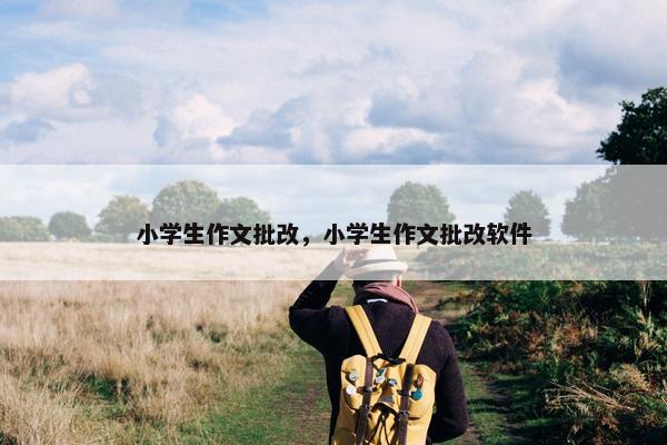 小学生作文批改，小学生作文批改软件