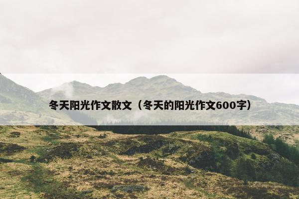 冬天阳光作文散文（冬天的阳光作文600字）