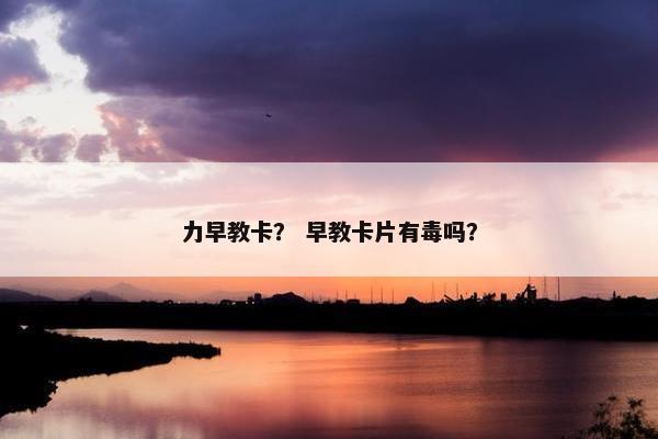 力早教卡？ 早教卡片有毒吗？