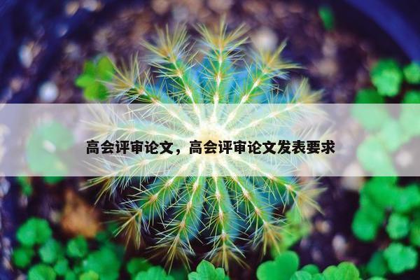 高会评审论文，高会评审论文发表要求