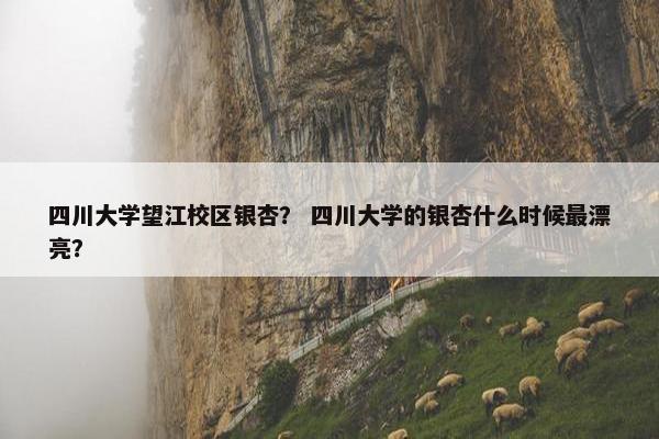 四川大学望江校区银杏？ 四川大学的银杏什么时候最漂亮？