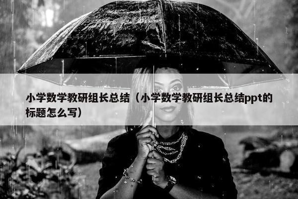 小学数学教研组长总结（小学数学教研组长总结ppt的标题怎么写）