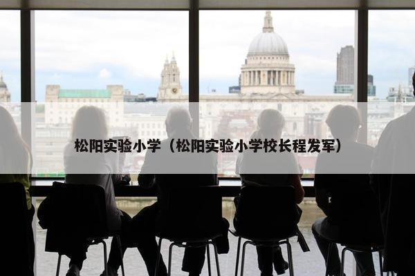 松阳实验小学（松阳实验小学校长程发军）