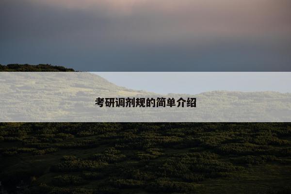 考研调剂规的简单介绍