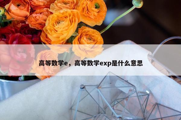 高等数学e，高等数学exp是什么意思