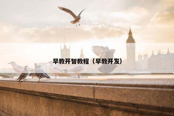 早教开智教程（早教开发）