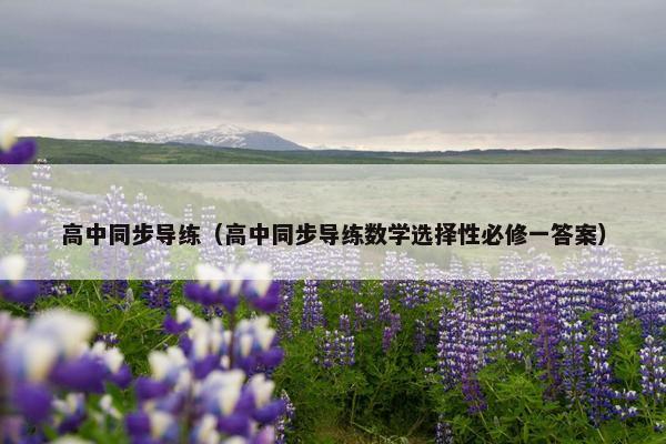 高中同步导练（高中同步导练数学选择性必修一答案）