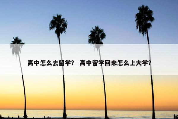 高中怎么去留学？ 高中留学回来怎么上大学？