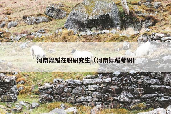 河南舞蹈在职研究生（河南舞蹈考研）