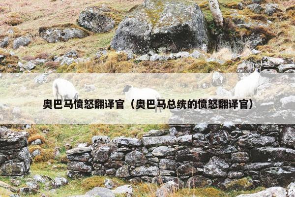 奥巴马愤怒翻译官（奥巴马总统的愤怒翻译官）