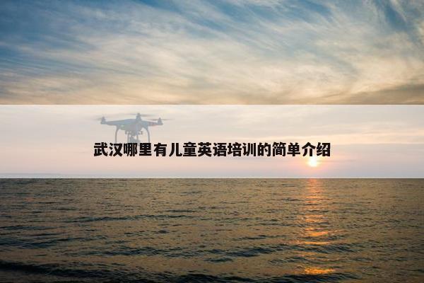 武汉哪里有儿童英语培训的简单介绍