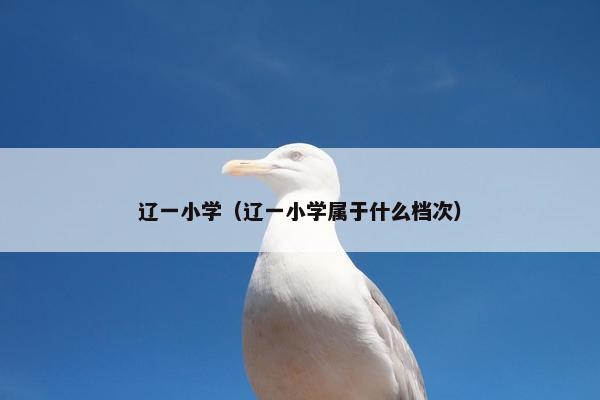辽一小学（辽一小学属于什么档次）
