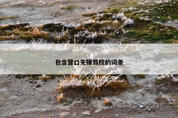 包含营口先锋驾校的词条