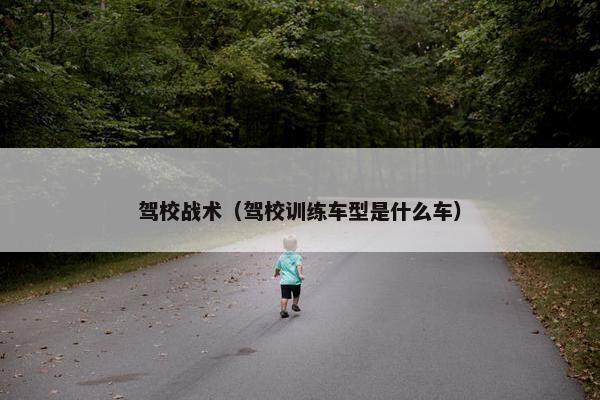驾校战术（驾校训练车型是什么车）