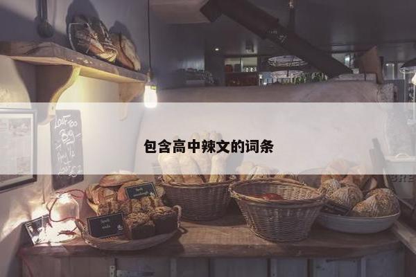 包含高中辣文的词条