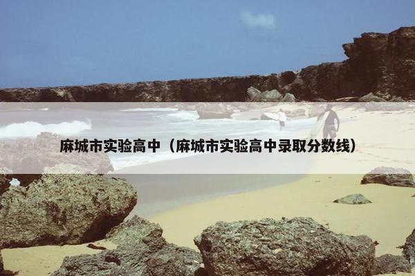 麻城市实验高中（麻城市实验高中录取分数线）